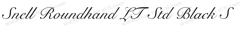 Snell Roundhand LT Std Black Script字体转换